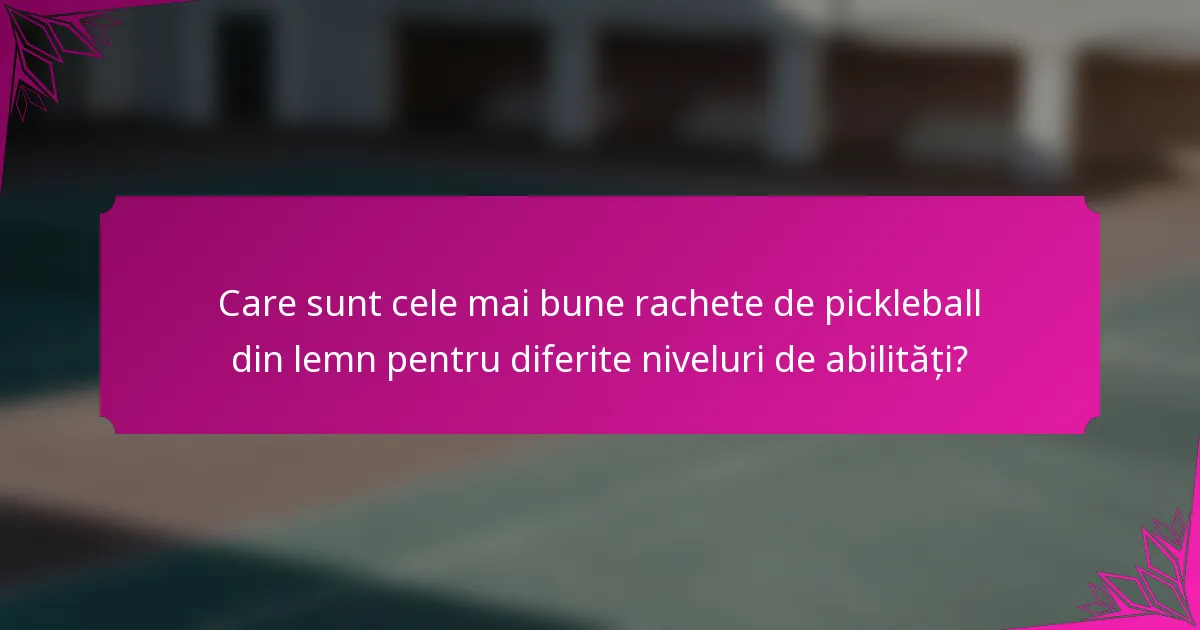 Care sunt cele mai bune rachete de pickleball din lemn pentru diferite niveluri de abilități?