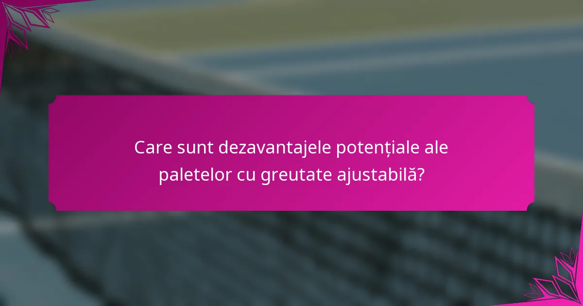 Care sunt dezavantajele potențiale ale paletelor cu greutate ajustabilă?