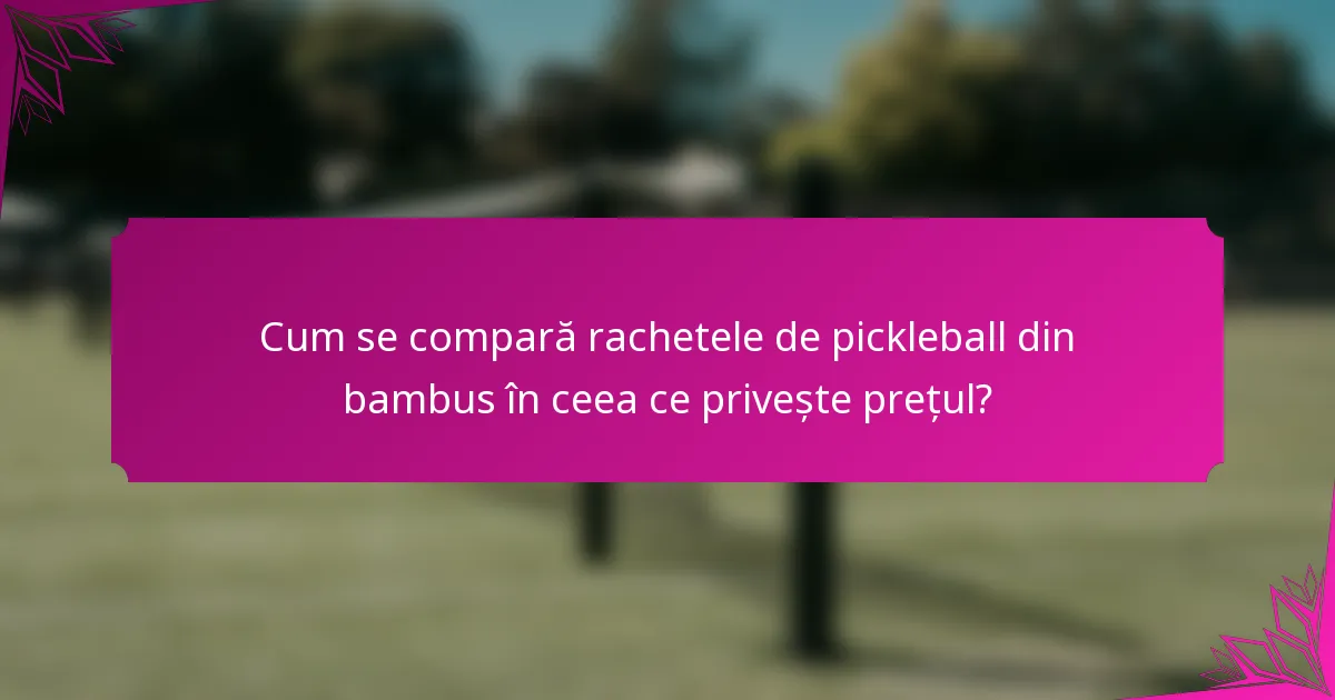 Cum se compară rachetele de pickleball din bambus în ceea ce privește prețul?